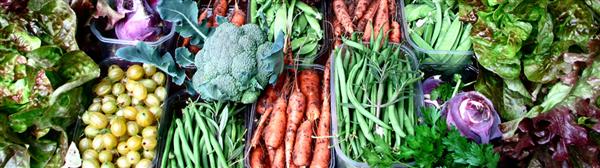 Fresh Veggies